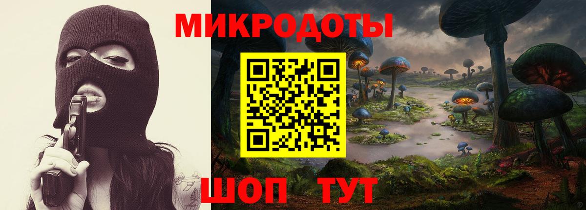 Губаха  Галлюциногенные грибы прущие грибы  Галлюциногенные грибы мухоморы  Вход с VPN 